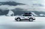 Terenska zverina z leda v Zell am Seeju - fotografija 10