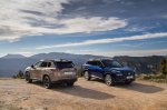 Prenovljeni X-Trail z robustnejšim videzom - fotografija 1