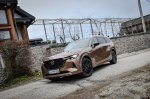 Še vedno močno verjamejo v dizelski motor - fotografija 14