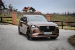 Še vedno močno verjamejo v dizelski motor - fotografija 16