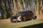 Še vedno močno verjamejo v dizelski motor - fotografija 40