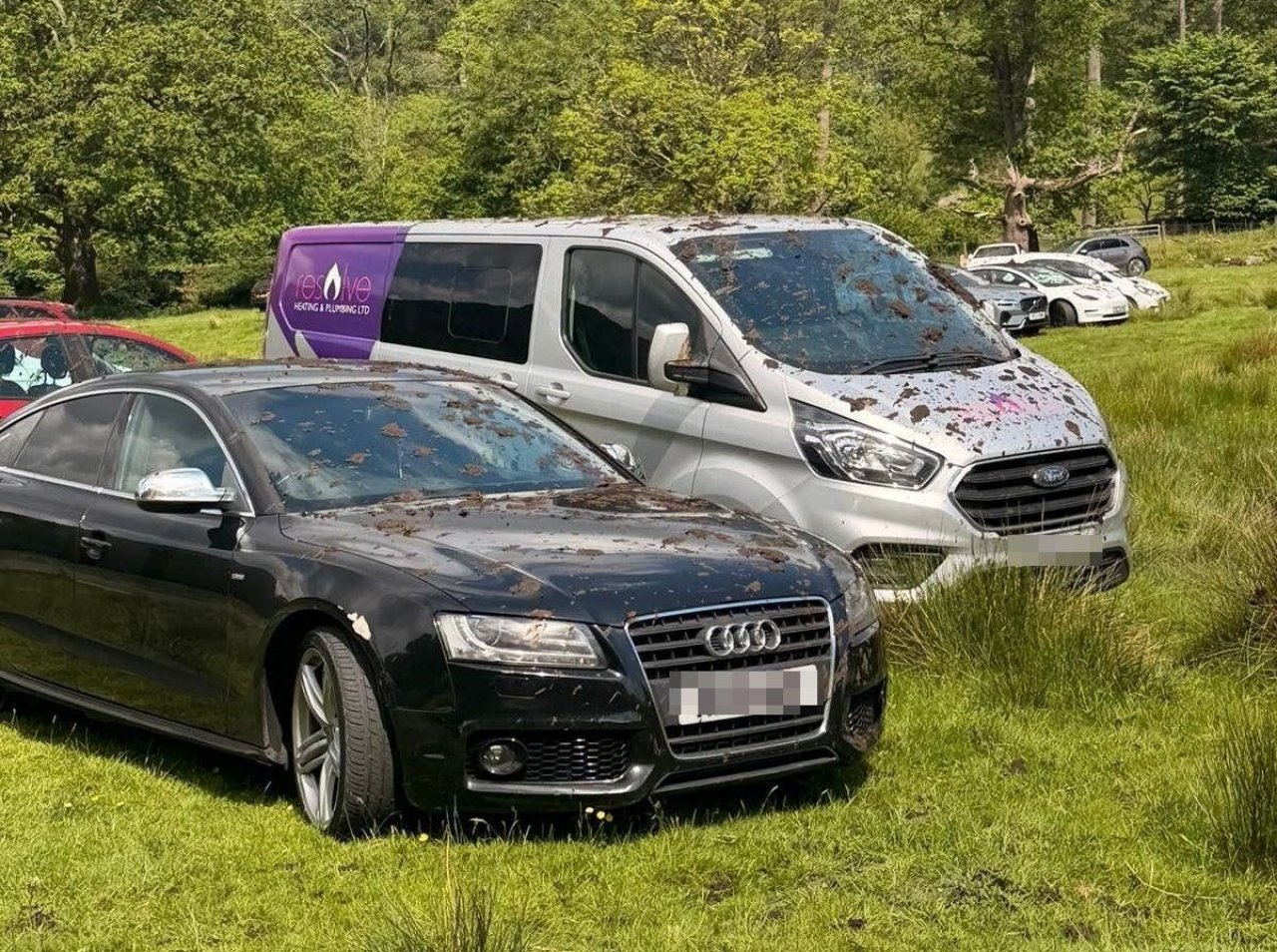 Kmetu prekipelo - avtomobile turistov polil z gnojevko
